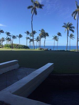 photo of Mishelle H.