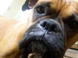 photo of Jonathan H.