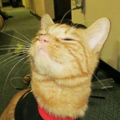 photo of Veronica L.