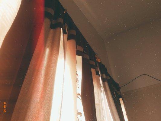 photo of Stacey Alex R.