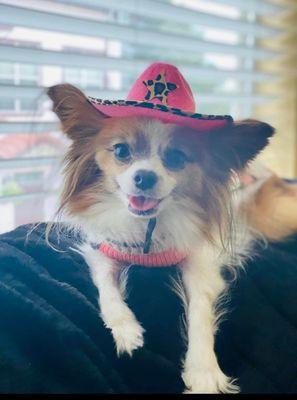 photo of Veronica A.