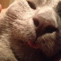 photo of Katherine O.