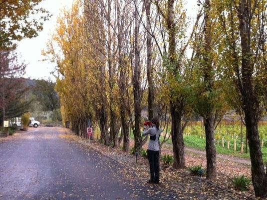 Photo of Courtney S.