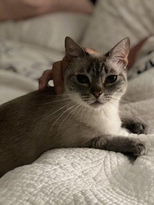 photo of Lorraine D.