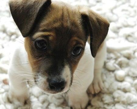 Photo of Stephanie J.