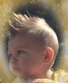 Photo of Enz F.