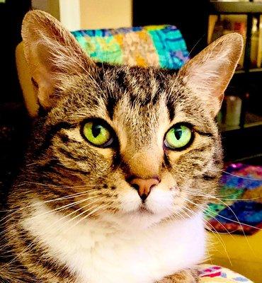 photo of Christine I.