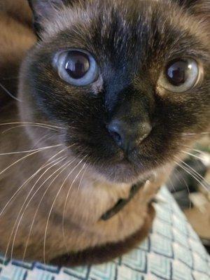 Photo of Rikki A.