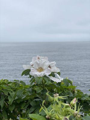 Photo of Miss H.