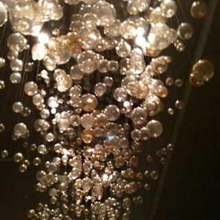 photo of Veronica C.