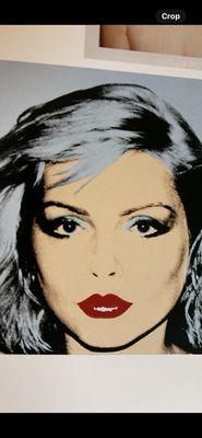 photo of Michelle M.