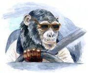 photo of Jonathan A.