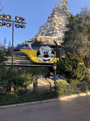 photo of Mechelle K.