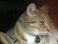 Photo of Mark C.