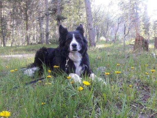 photo of Margaret K.