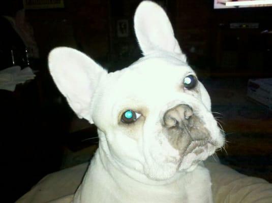 photo of Doug And Kris R.