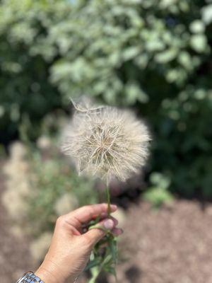 photo of Rosabell M.