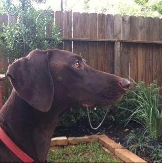 Photo of Alfred Lord C.