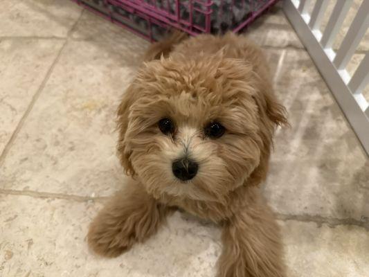 photo of mrbeastmoneyhere