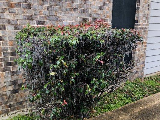 Photo of Jennifer F.