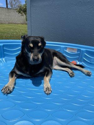 photo of Jennifer K.