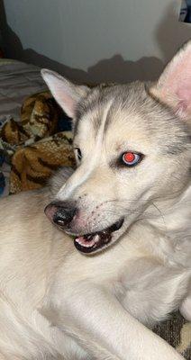 Photo of Michelle S.