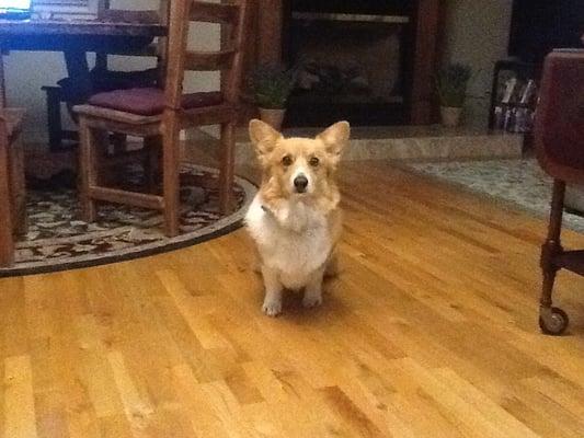 photo of Davidson P.