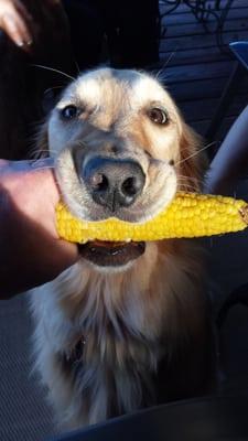 Photo of FiredudeknowsfoodinNJ Q.