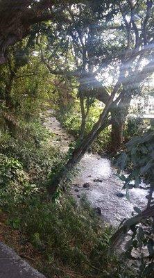 Photo of Geralyne M.