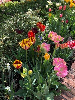 photo of Kathryne O.