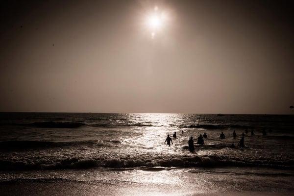 Photo of Somil B.
