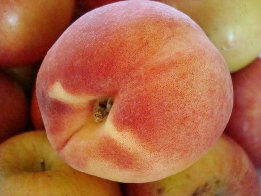 photo of Virginia P.