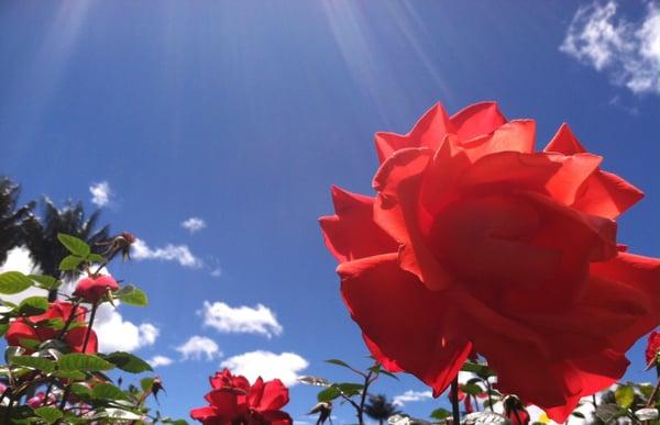 Photo of Michelle M.