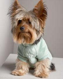 photo of HsuNamii H.