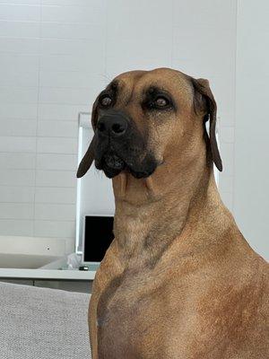 photo of Jonathan S.