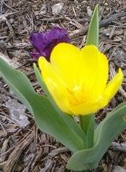 photo of Anna Marie S.