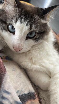 Photo of Leti A.