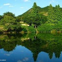 Photo of Changguo D.