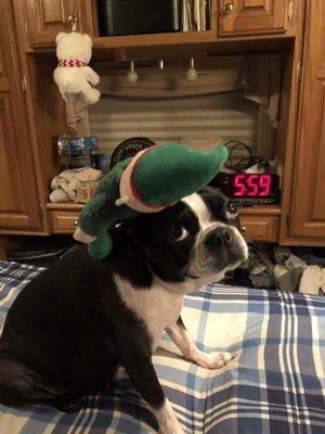 photo of Elizabeth G.