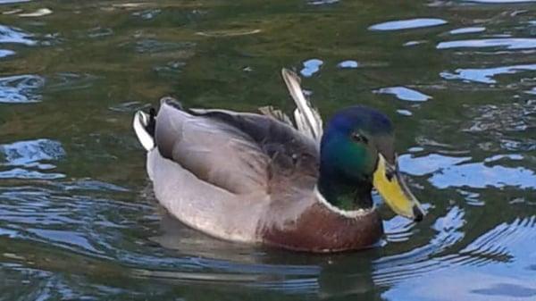 photo of Michelle G.