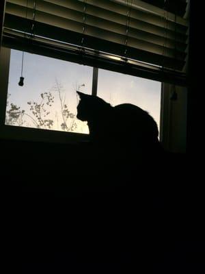 Photo of J B.