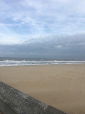 photo of Annamarie F.