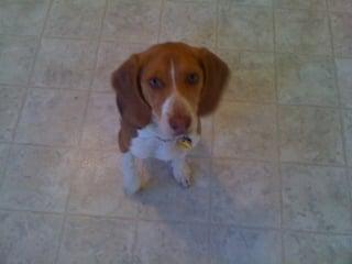 Photo of Margarita L.