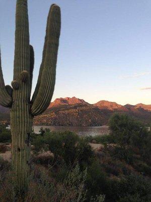 photo of Scottsdale H.