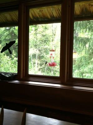 photo of Michelle N.