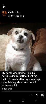 photo of Cinder's A.