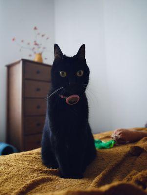 Photo of Asha B.