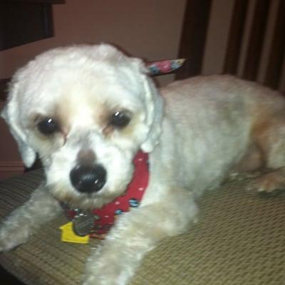 photo of Mamameau M.