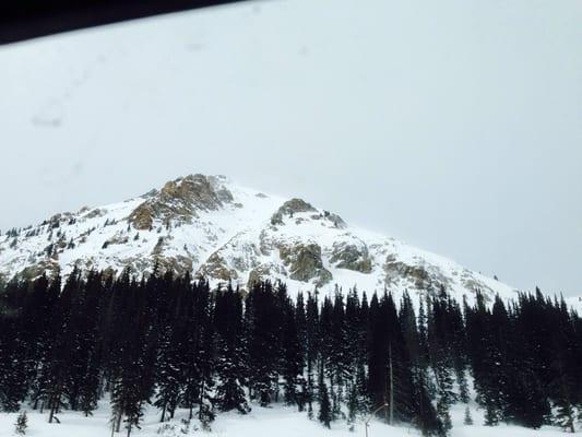 photo of Kristina B.