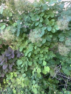 Photo of Rebecca L N.